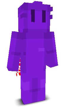 User's Minecraft appearance