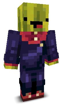User's Minecraft appearance