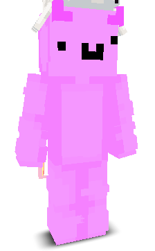 User's Minecraft appearance