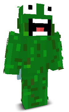 User's Minecraft appearance