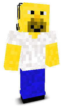 User's Minecraft appearance