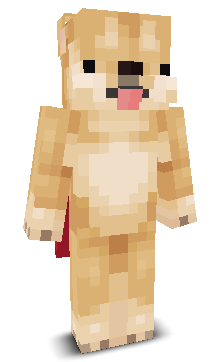 User's Minecraft appearance
