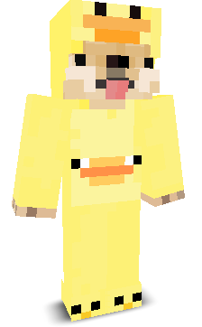 User's Minecraft appearance