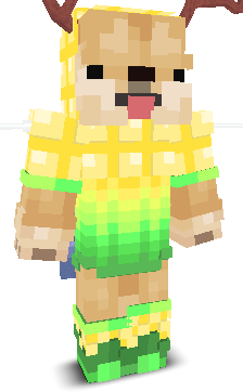 User's Minecraft appearance