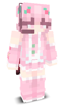 User's Minecraft appearance