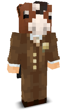 User's Minecraft appearance