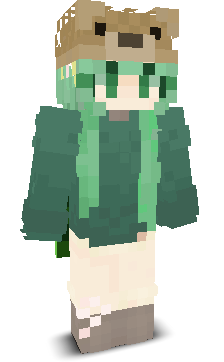 User's Minecraft appearance