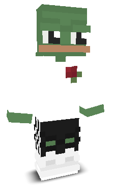 User's Minecraft appearance