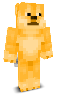 User's Minecraft appearance