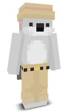 User's Minecraft appearance