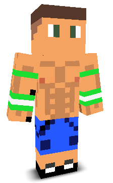 User's Minecraft appearance