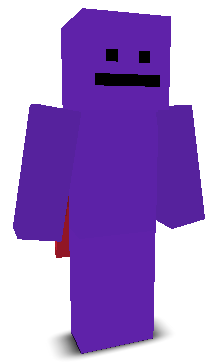 User's Minecraft appearance