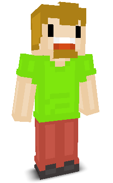 User's Minecraft appearance