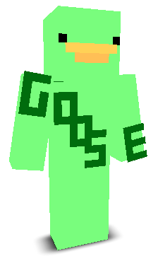 User's Minecraft appearance