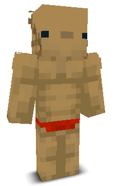 User's Minecraft appearance