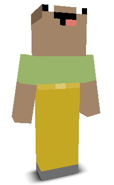 User's Minecraft appearance