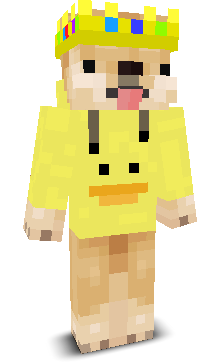 User's Minecraft appearance