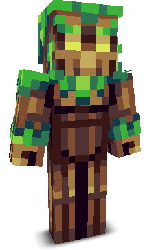 User's Minecraft appearance