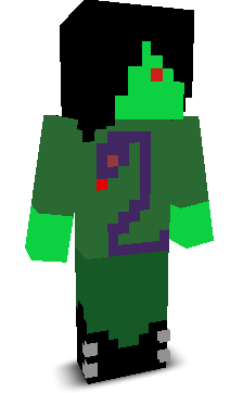 User's Minecraft appearance