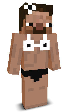 User's Minecraft appearance