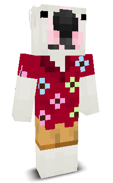 User's Minecraft appearance