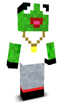 User's Minecraft appearance