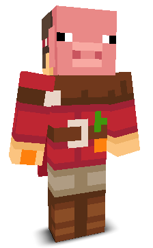 User's Minecraft appearance