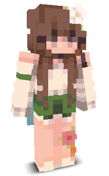 User's Minecraft appearance