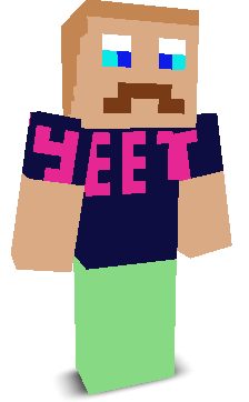 User's Minecraft appearance