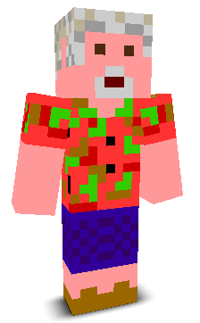 User's Minecraft appearance