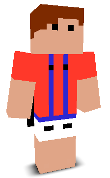 User's Minecraft appearance