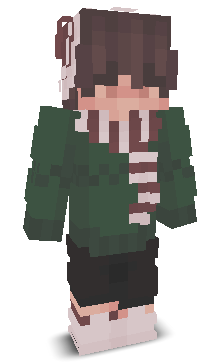 User's Minecraft appearance