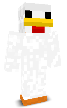 User's Minecraft appearance