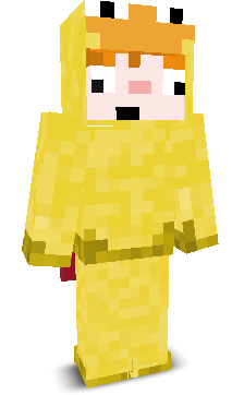 User's Minecraft appearance