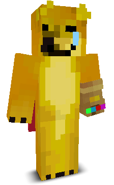 User's Minecraft appearance
