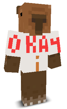 User's Minecraft appearance