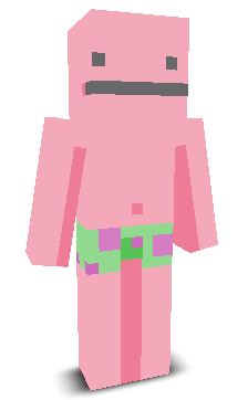 User's Minecraft appearance