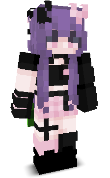User's Minecraft appearance