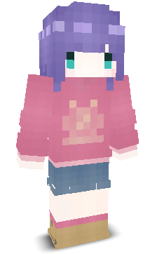 User's Minecraft appearance