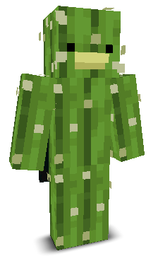 User's Minecraft appearance
