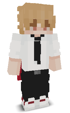 User's Minecraft appearance