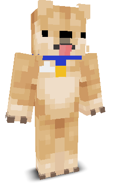 User's Minecraft appearance