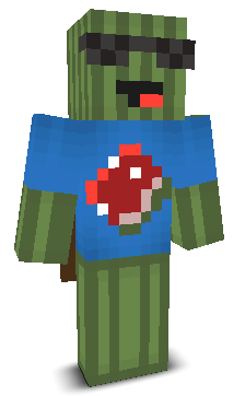 User's Minecraft appearance