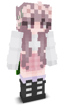 User's Minecraft appearance