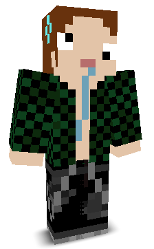 Skin gracza _paradygmat_