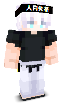 User's Minecraft appearance
