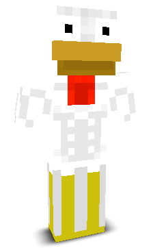 User's Minecraft appearance