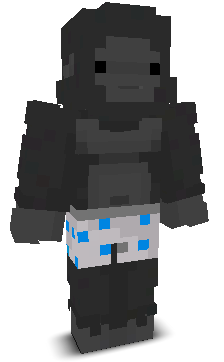 Skin gracza irek000