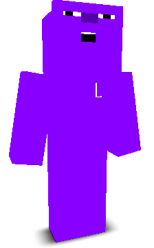 User's Minecraft appearance