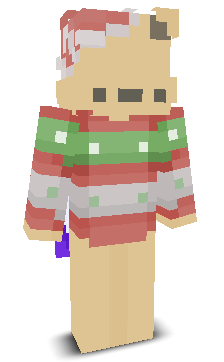 User's Minecraft appearance